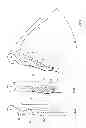 Fig. 02 - Sommelier's corkscrew