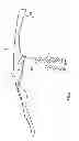 Fig. 07 - Sommelier's corkscrew