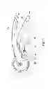 Fig. 11 - Garlic press