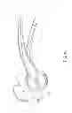 Fig. 12 - Garlic press
