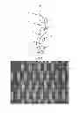 Fig. 07 - Multi-layer fabric