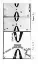 Fig. 02 - Microfluidic systems