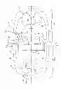 Fig. 02 - BREAKABLE TWO PACK CARRIER AND RELATED APPARATUS AND METHOD