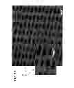 Fig. 05 - Filtration article with fluoropolymer knit