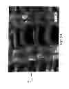 Fig. 06 - Filtration article with fluoropolymer knit