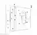 Fig. 06 - Carton with insert