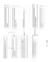 Fig. 06 - Vegetable Blending and Cutting Device and Method THereof