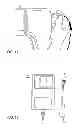 Fig. 08 - Automatic towel dispenser