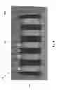 Fig. 09 - Self-aligned process to fabricate a memory cell array with a surrounding-gate access transistor