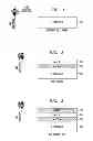 Fig. 02 - Replacement gate fin first wire last gate all around devices