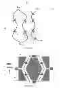Fig. 07 - Single-chip bridge-type magnetic field sensor and preparation method thereof