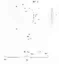 Fig. 02 - System for gliding on snow with improved mobility