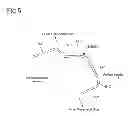 Fig. 06 - Vehicle door frame structure