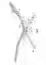 Fig. 03 - Folding chair