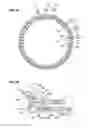 Fig. 04 - ELECTRICITY COLLECTION AND DISTRIBUTION RING AND ELECTRIC MOTOR