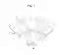 Fig. 02 - Spoke type permanent magnet motor capable of minimizing leakage of magnetic flux