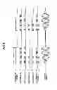 Fig. 04 - Antenna drive apparatus