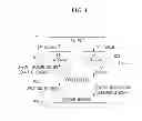 Fig. 02 - Apparatus and method for controlling automatic opening of trunk