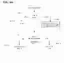 Fig. 09 - Preemptive notification of patient fall risk condition