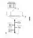 Fig. 03 - Hardware accelerator for touchscreen data processing