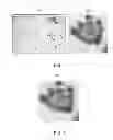 Fig. 04 - Method and apparatus for navigating stacked microscopy images
