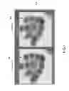 Fig. 07 - Method and apparatus for navigating stacked microscopy images