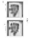 Fig. 08 - Method and apparatus for navigating stacked microscopy images