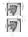 Fig. 09 - Method and apparatus for navigating stacked microscopy images