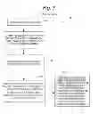 Fig. 08 - System and method for the visualization of medical data