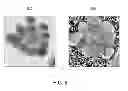 Fig. 06 - Method and apparatus for improving depth of field (DOF) in microscopy