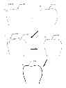 Fig. 10 - Motion blur compensation