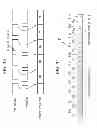 Fig. 09 - SYNCHRONIZATION CIRCUITS AND METHODS USABLE IN SHUTTER GLASSES