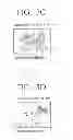 Fig. 06 - Image pickup device and method of picking up image using the same