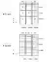 Fig. 22 - Semi-transmissive liquid crystal display device and electronic apparatus