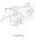 Fig. 05 - Stun gun and method of use