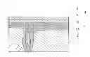 Fig. 01 - ELECTROCONDUCTIVE POLYMER SOLUTION, ELECTROCONDUCTIVE POLYMER MATERIAL AND METHOD FOR PRODUCING SAME, AND SOLID ELECTROLYTIC CAPACITOR