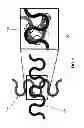 Fig. 02 - Strain relief structures for stretchable interconnects