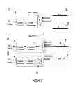 Fig. 06 - DATA COMMUNICATIONS SYSTEM AND METHOD OF DATA TRANSMISSION