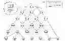 Fig. 01 - Selective topology routing for distributed data collection