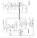 Fig. 09 - Wireless mesh architecture