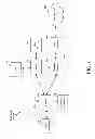 Fig. 02 - Ordering and processing of interfering channels for reduced complexity implementation
