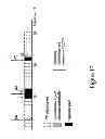 Fig. 09 - (H)ARQ for semi-persistent scheduling