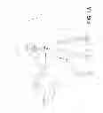 Fig. 02 - Management of decoded picture buffer at picture format transitions