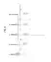 Fig. 09 - Communication apparatus, integrated circuit, and communication method