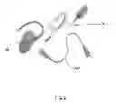 Fig. 03 - Communication System and Method