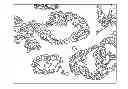 Fig. 01 - Biological unit segmentation with ranking based on similarity applying a geometric shape and scale model