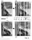 Fig. 04 - Method of content aware image resizing