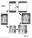 Fig. 05 - Method of content aware image resizing