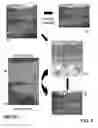 Fig. 06 - Method of content aware image resizing