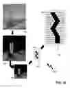 Fig. 20 - Method of content aware image resizing